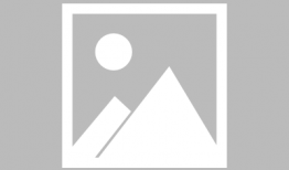 动漫羊,羊的奇幻冒险之旅